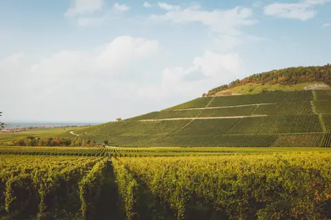 Weingut Emmerich Stellplatz