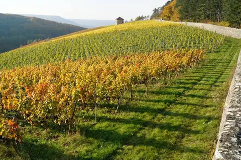 Weingut Lange Schloss Saaleck,