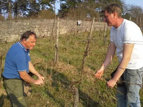 Weingut Lange Schloss Saaleck,