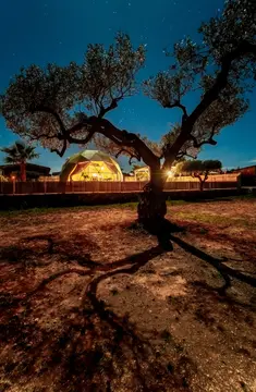 Camping Orangeraie
