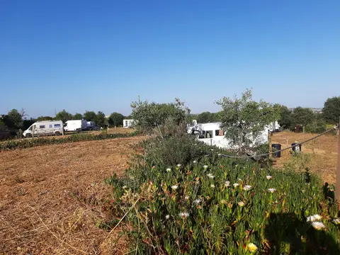 Elodie & Romy's Algarve Camping Car Park