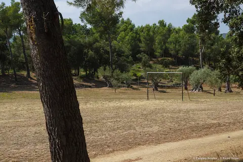 Camping Benelux