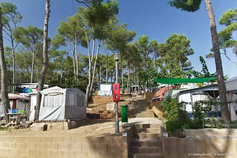 Camping Benelux