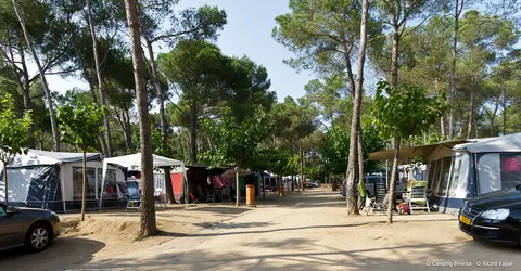 Camping Benelux