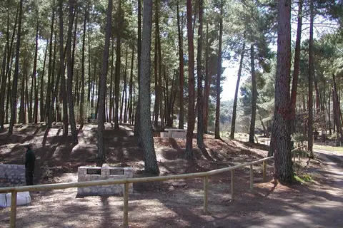 Zona de Acampada Controlada El Robledal