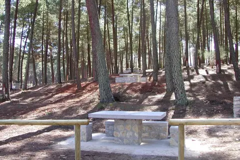 Zona de Acampada Controlada El Robledal