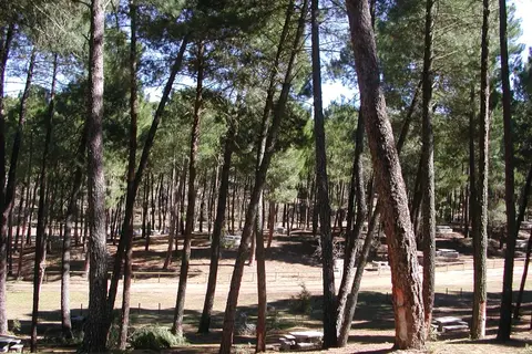 Zona de Acampada Controlada El Robledal