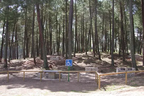 Zona de Acampada Controlada El Robledal
