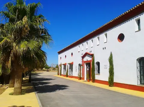 Camping Pueblo Blanco