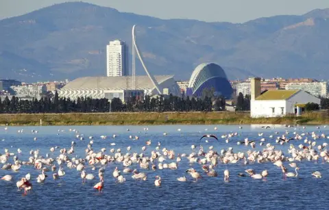 Bungalows Park Albufera