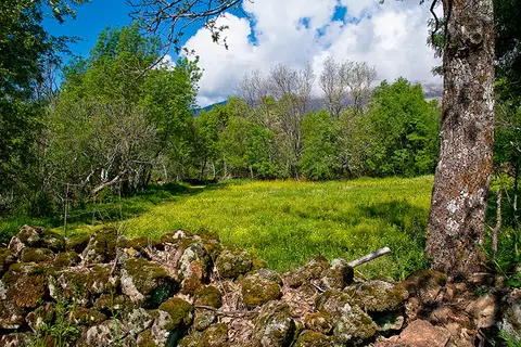 Tunkashila
