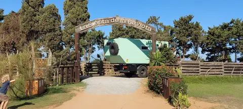 La Siesta de la Gaviota