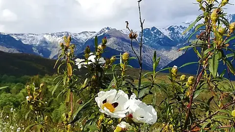 Complejo La Mata