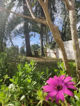 Camping Pelinos