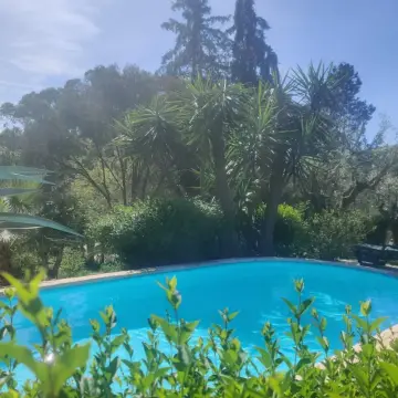 Camping Pelinos