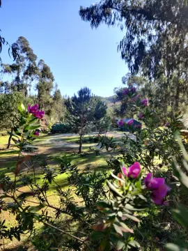 Camping Pelinos