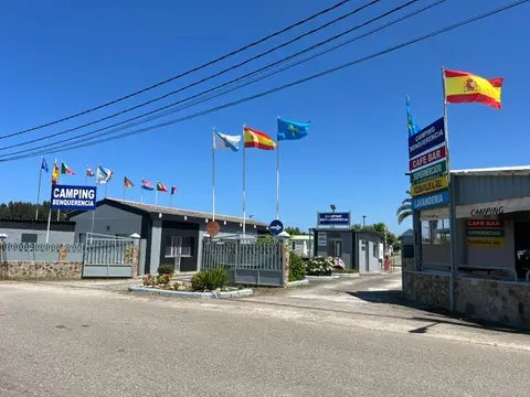 Camping Benquerencia