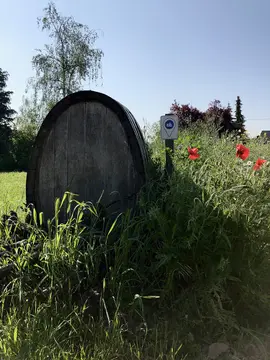 Weingut Klein - Weinsheim/Nahe