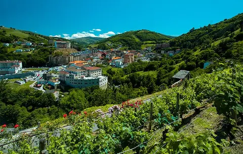 Área de autocaravanas de Cangas del Narcea