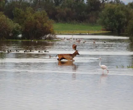 Huttopia Parque Doñana