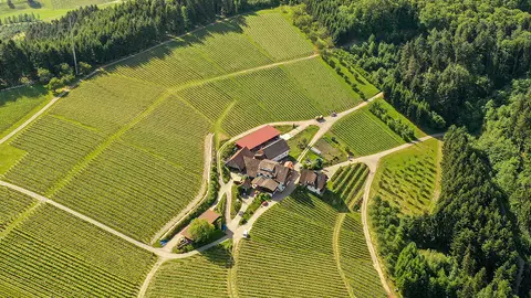 Busseck Hof