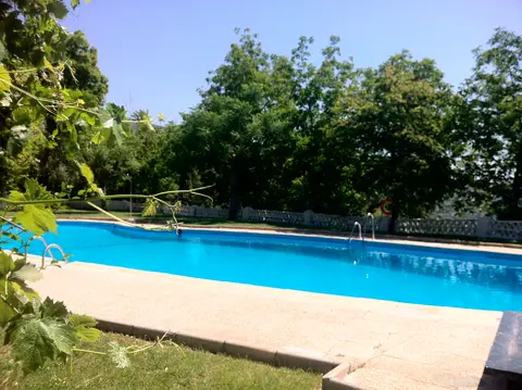 Camping El Balcón de Pitres - Alpujarra