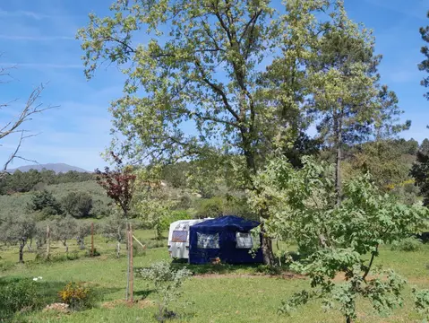 Camping El Merino