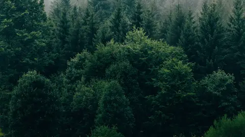 A Leira 116