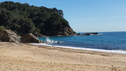 Càmping Canyelles
