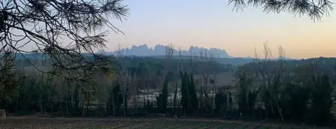 Zona d'acampada de l'Oller del Mas