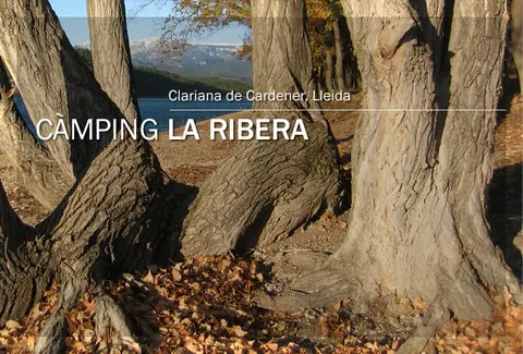 Càmping La Ribera