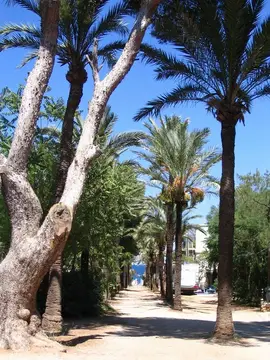 Camping Los Pinos