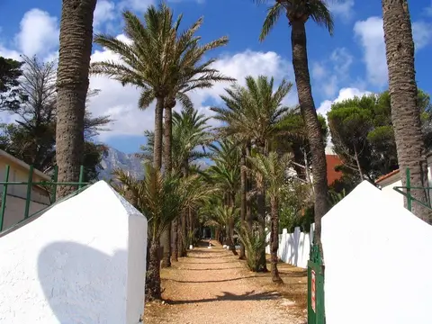 Camping Los Pinos