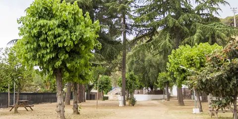 Camping Victoria