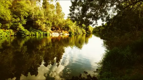 Quinta do Rio - Nature camping
