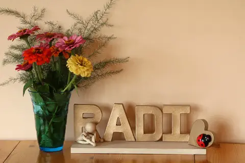 Radi