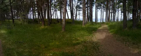 Jēņi