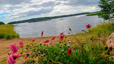 Vaalimaa camping