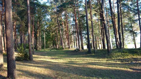 Stovyklavietė „Kertuoja“
