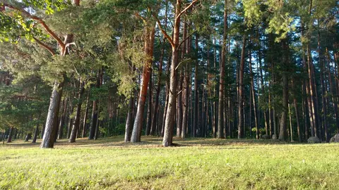 Stovyklavietė „Kertuoja“