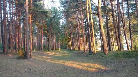 Stovyklavietė „Kertuoja“