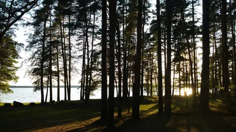 Stovyklavietė „Kertuoja“