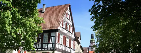Ziegelwasen