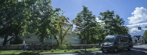 Ziegelwasen