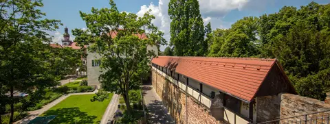 Ziegelwasen