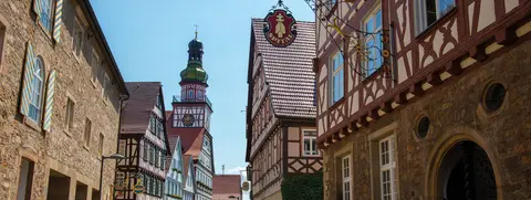 Ziegelwasen
