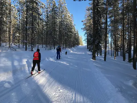 Kvarnsjö Camp & Vandrarhem, Kvarnsjö