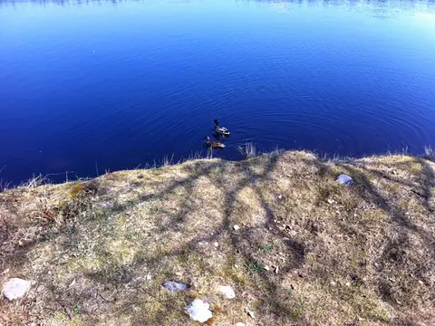 Snörbo
