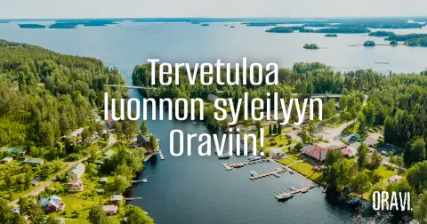Sammakkoniemi leirintäalue