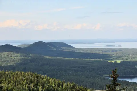 Koli Freetime